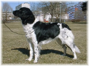 cassi42_000.jpg